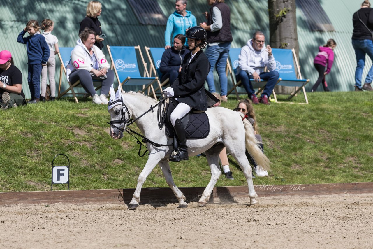 Bild 5 - Pony Akademie Turnier